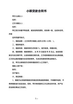 小额贷款合同书