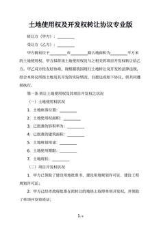 土地使用权及开发权转让协议专业版