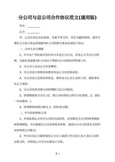 分公司与总公司合作协议范文(通用版)