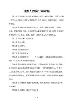 自然人独资公司章程